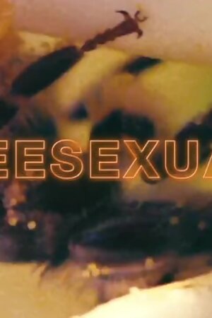 Checking the Tags for Pornstar