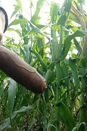 Cumming on Maize Leaf, 😲 Super Cumming