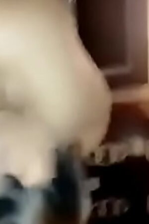 Shweta Malhotra Indian Model Blowjob
